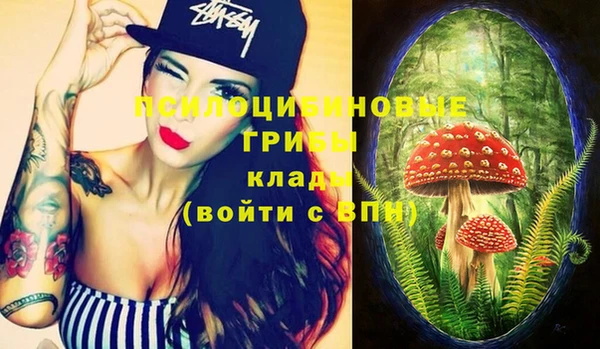 прущие грибы Пролетарск