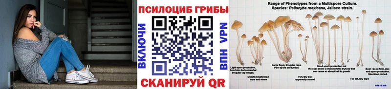 Галлюциногенные грибы Magic Shrooms  наркошоп  Сибай 