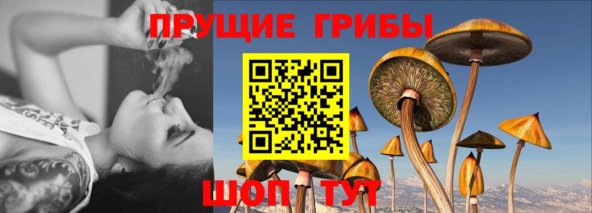 Галлюциногенные грибы мицелий Сибай